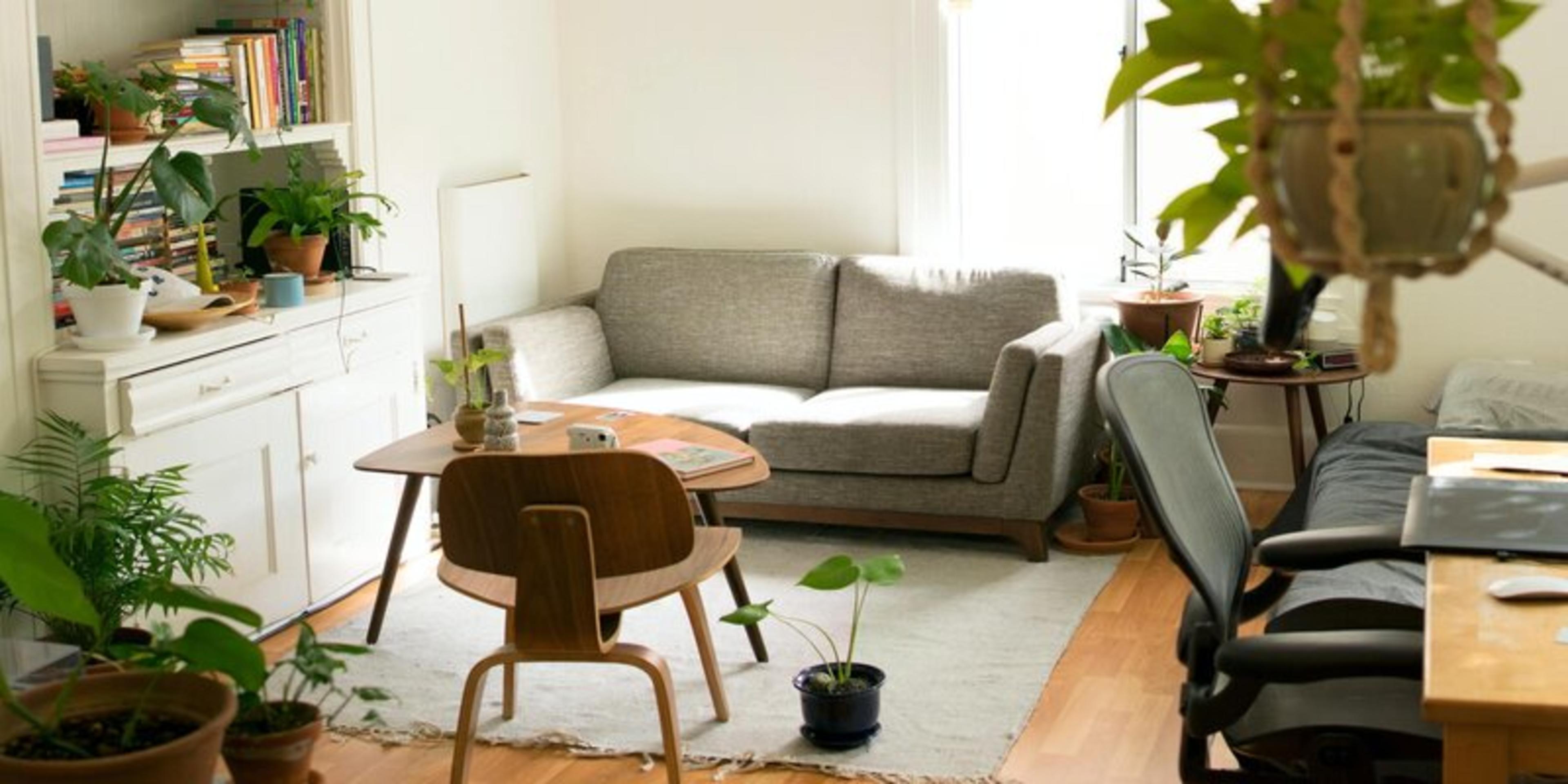 Living Alone Vs Living with a Flatmate