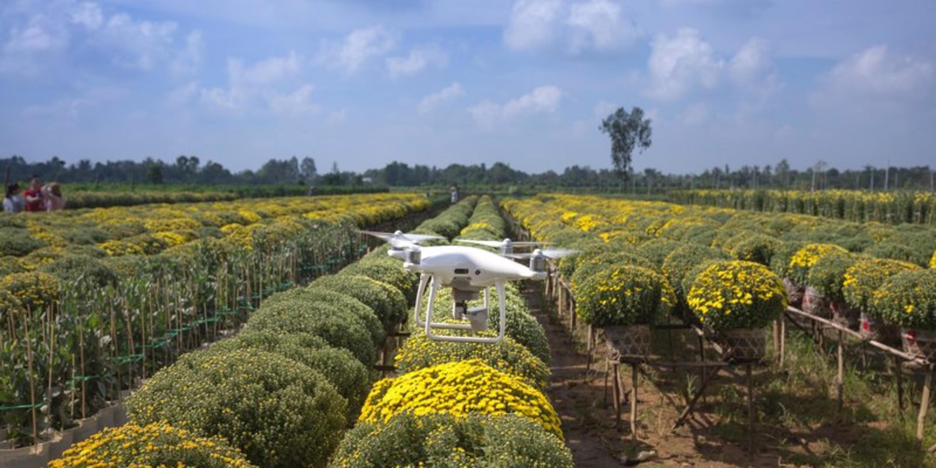 AgriSciences Careers