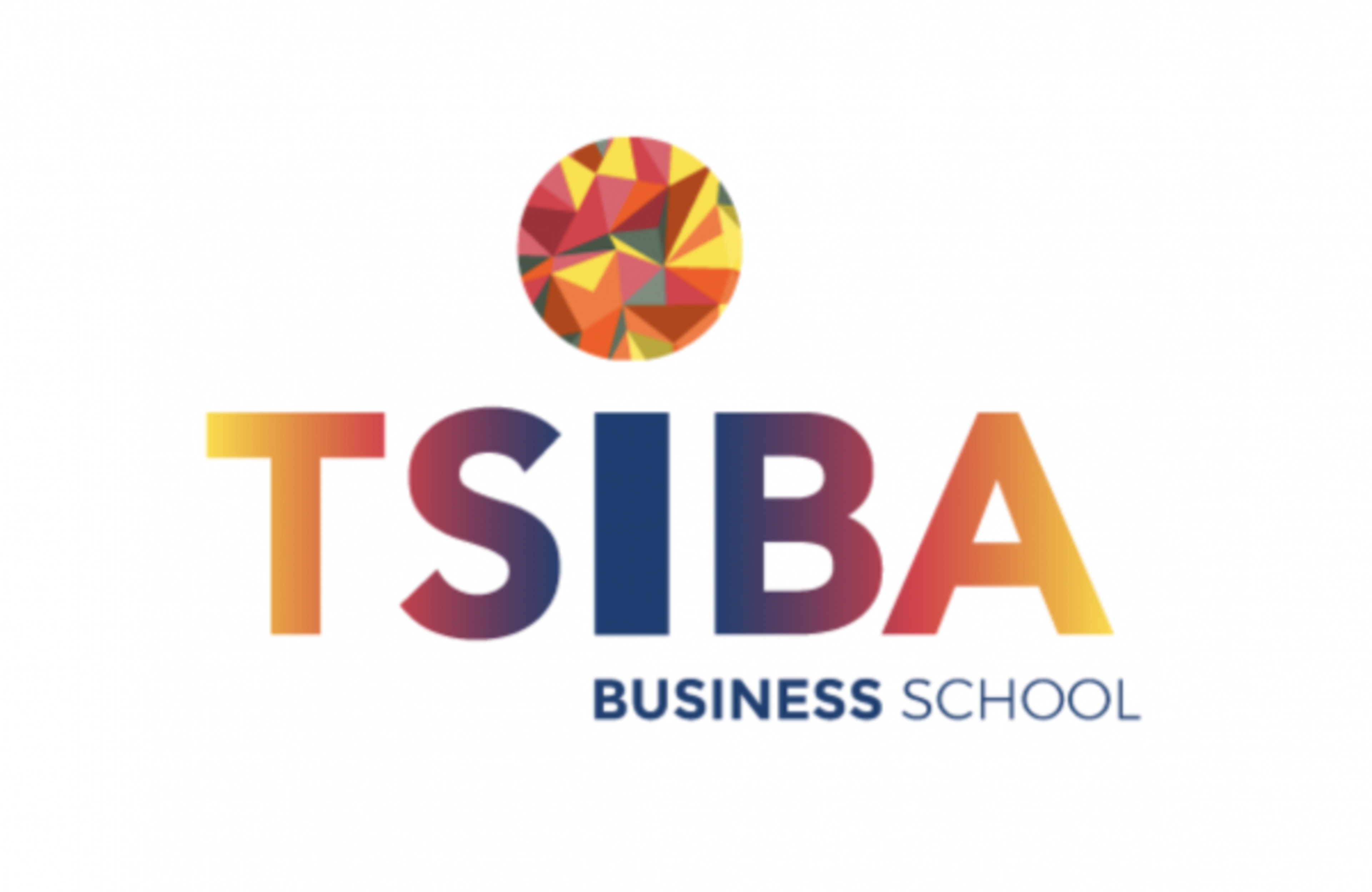 TSIBA Business School - Image 1