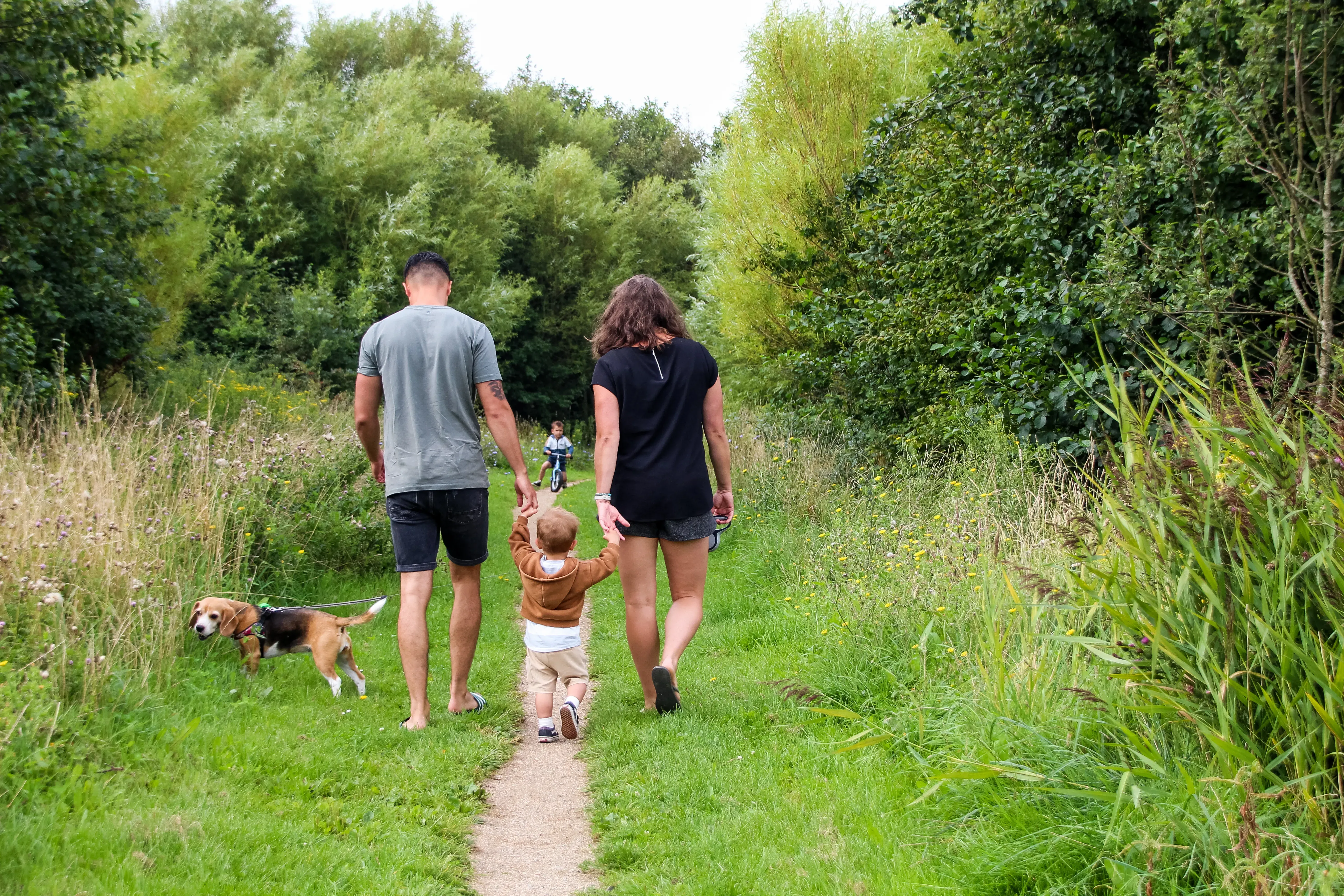 Wandelen in het bos tegenover Minicamping Boogaard