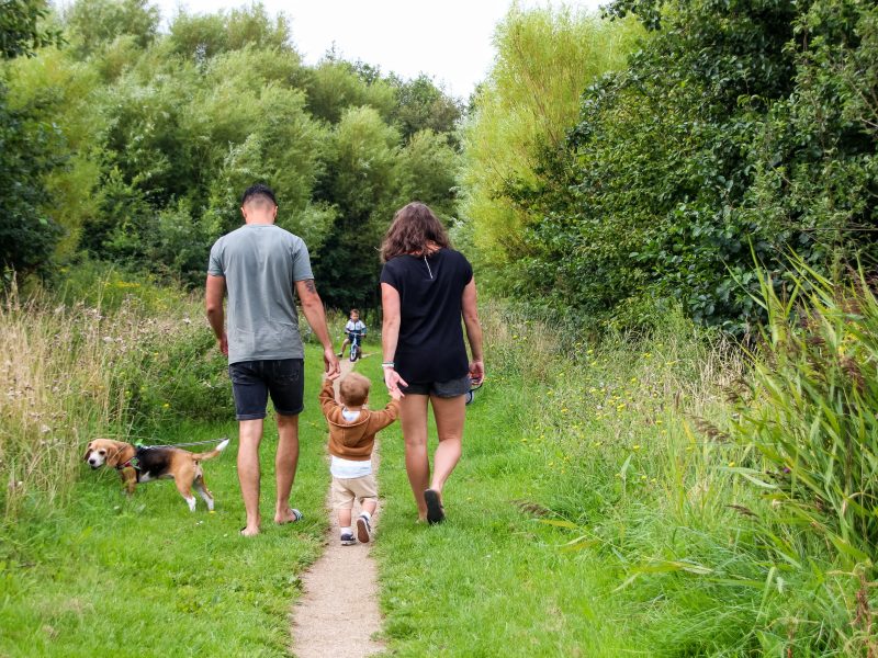 Activiteiten het hele jaar