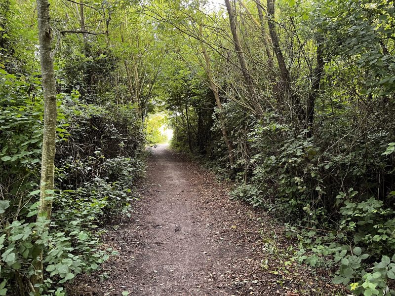 Natuurgebied naast de camping