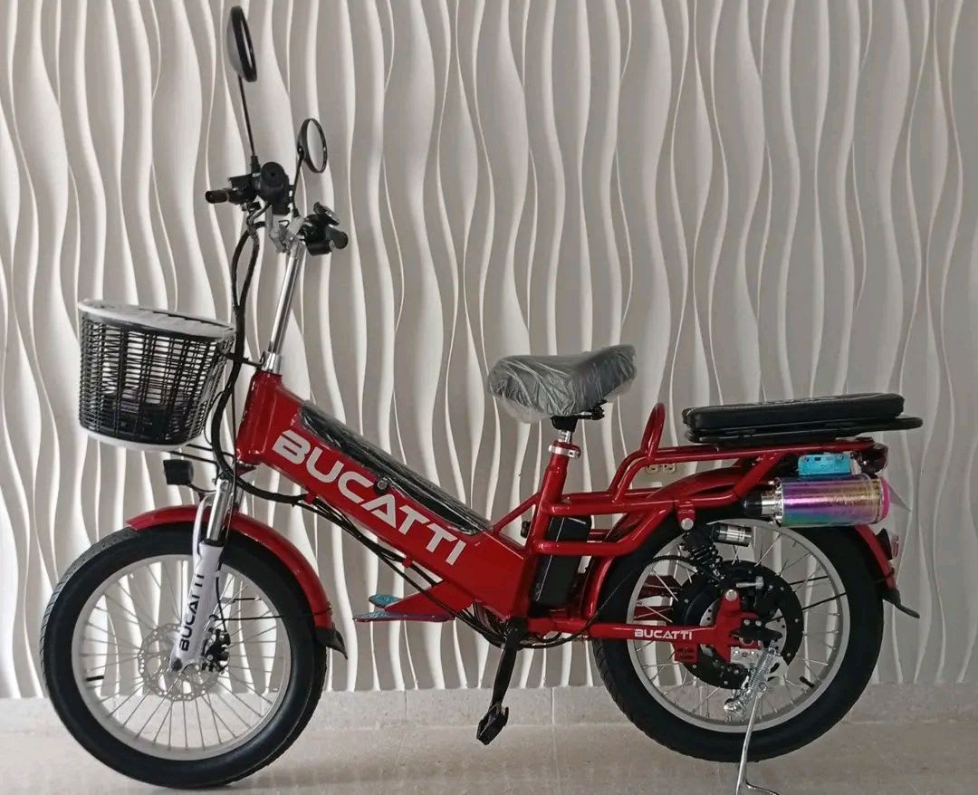 Bicicleta Eléctrica 