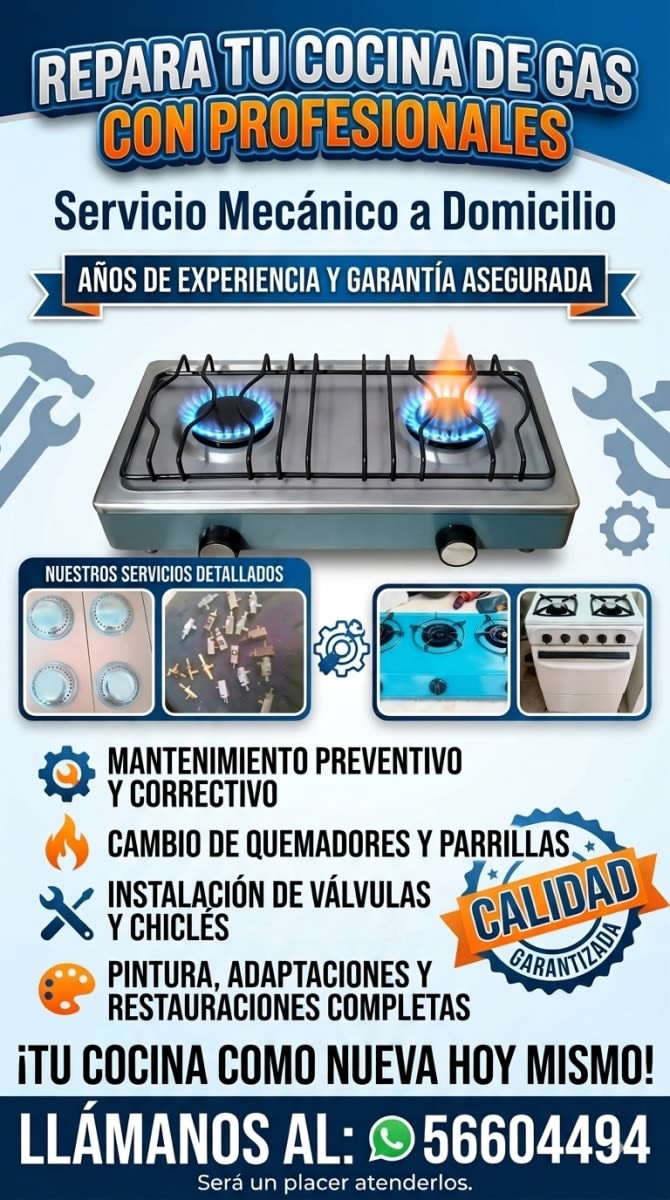 Mecánico de cocinas de gas a domicilio