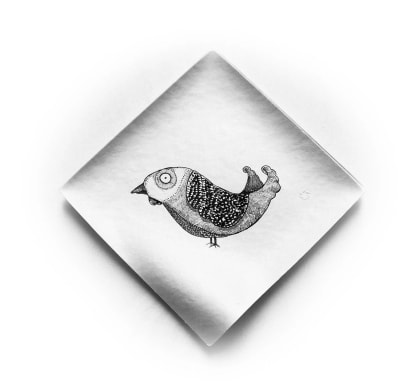 Wasara Birds