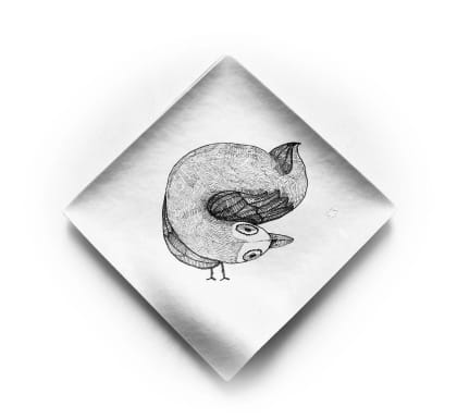Wasara Birds