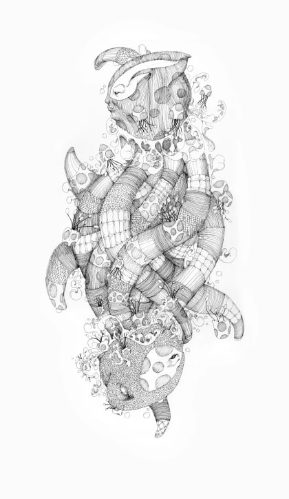 Hidden Fauna