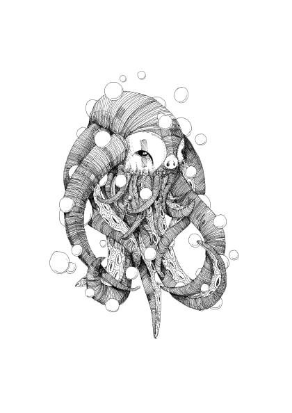 Hidden Fauna