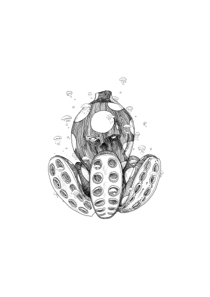 Hidden Fauna