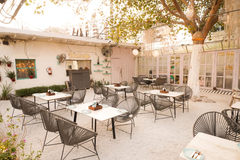 The Big Tree Cafe — Food, Pizza, Cafe, Italian, Continental restaurant in Sector 54 Gurgaon, Delhi
