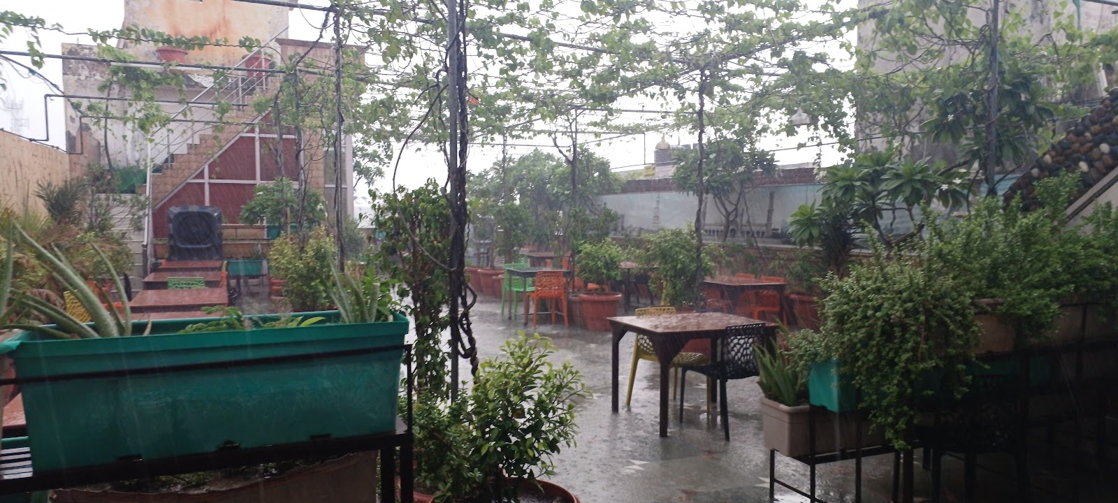 Syrian Restaurant — Middle Eastern restaurant in Madanpur Khadar, New Delhi, Delhi