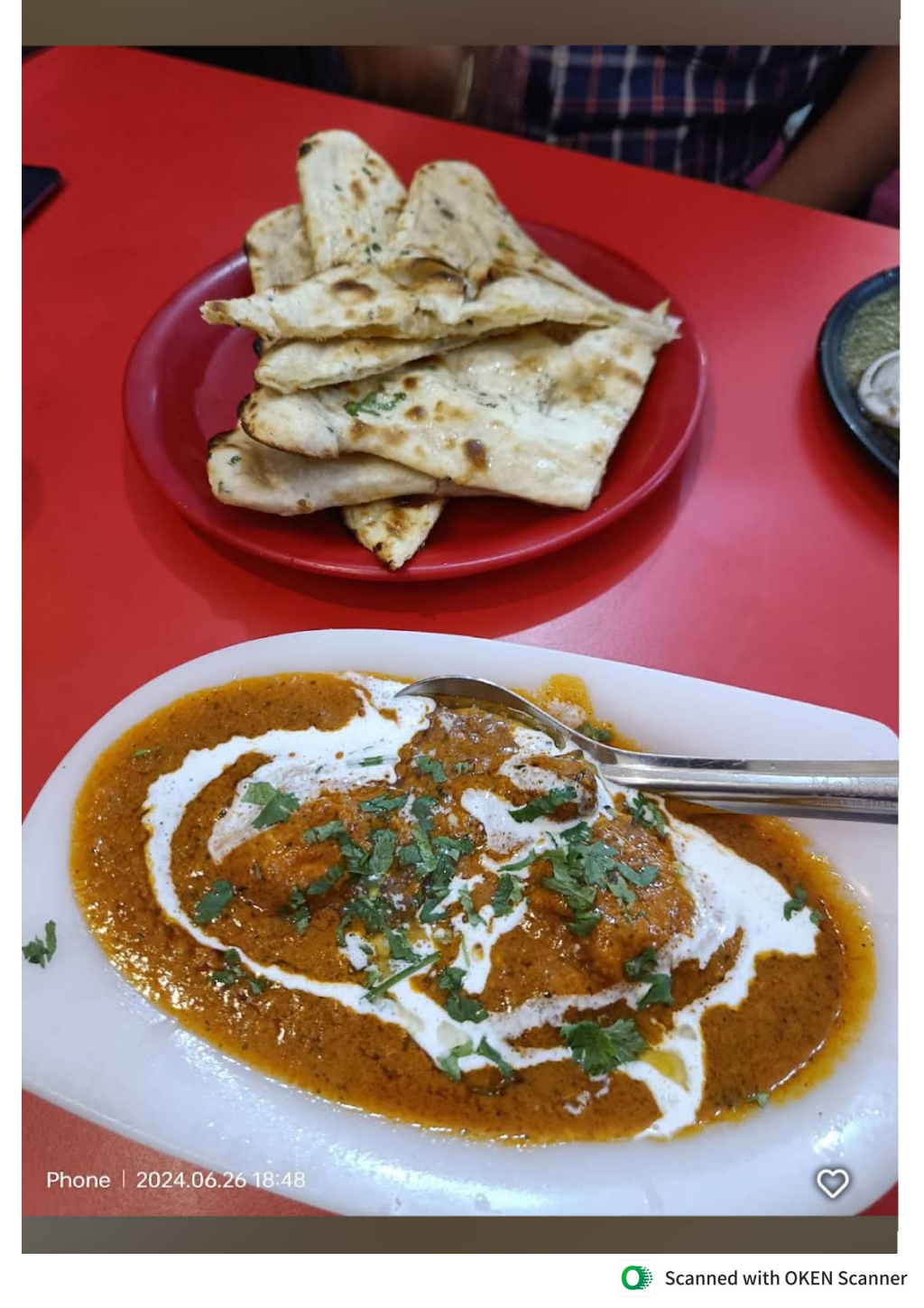 Bawarchi Restaurant — Restaurant restaurant in Chanakyapuri, New Delhi, Delhi