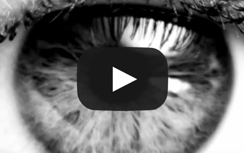 View Video for Animal Advocate