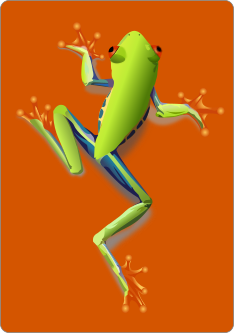 frog design card back