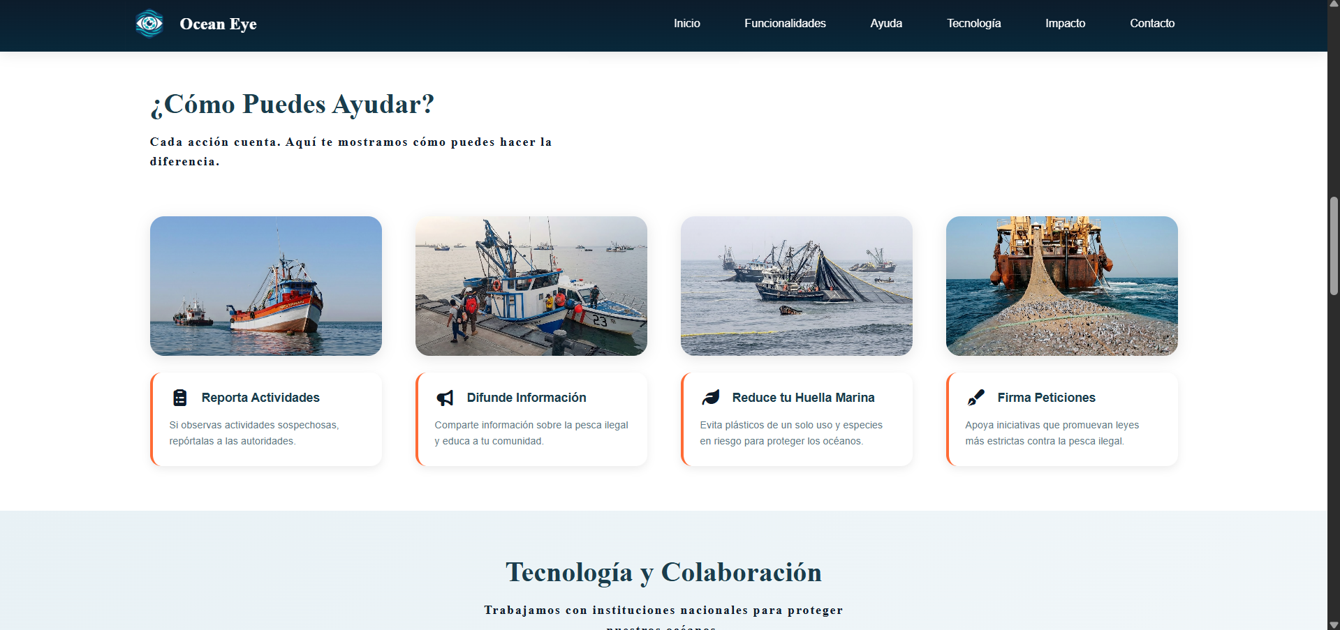 Ocean Eye - imagen 3