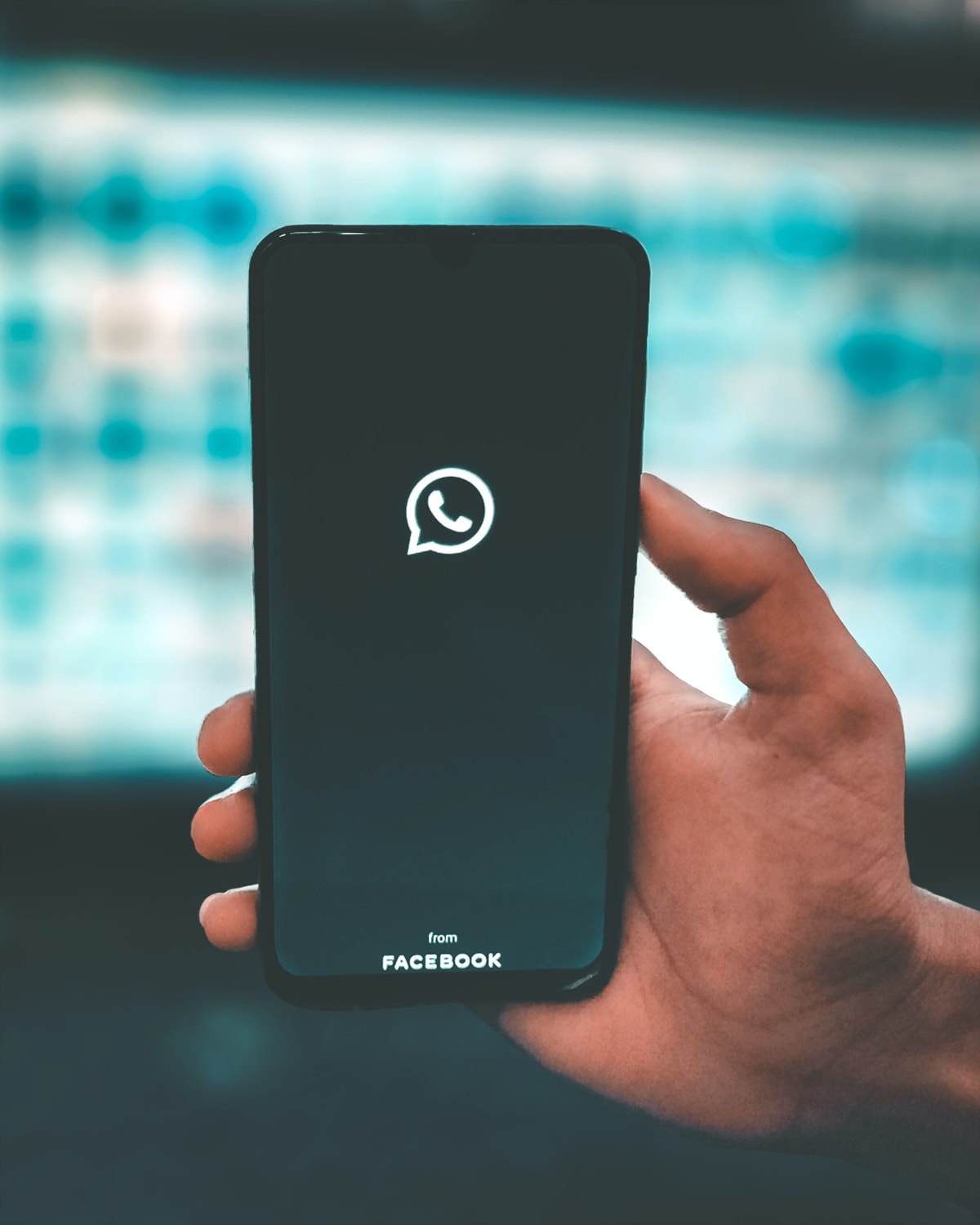 All you need to know about Whatsapp