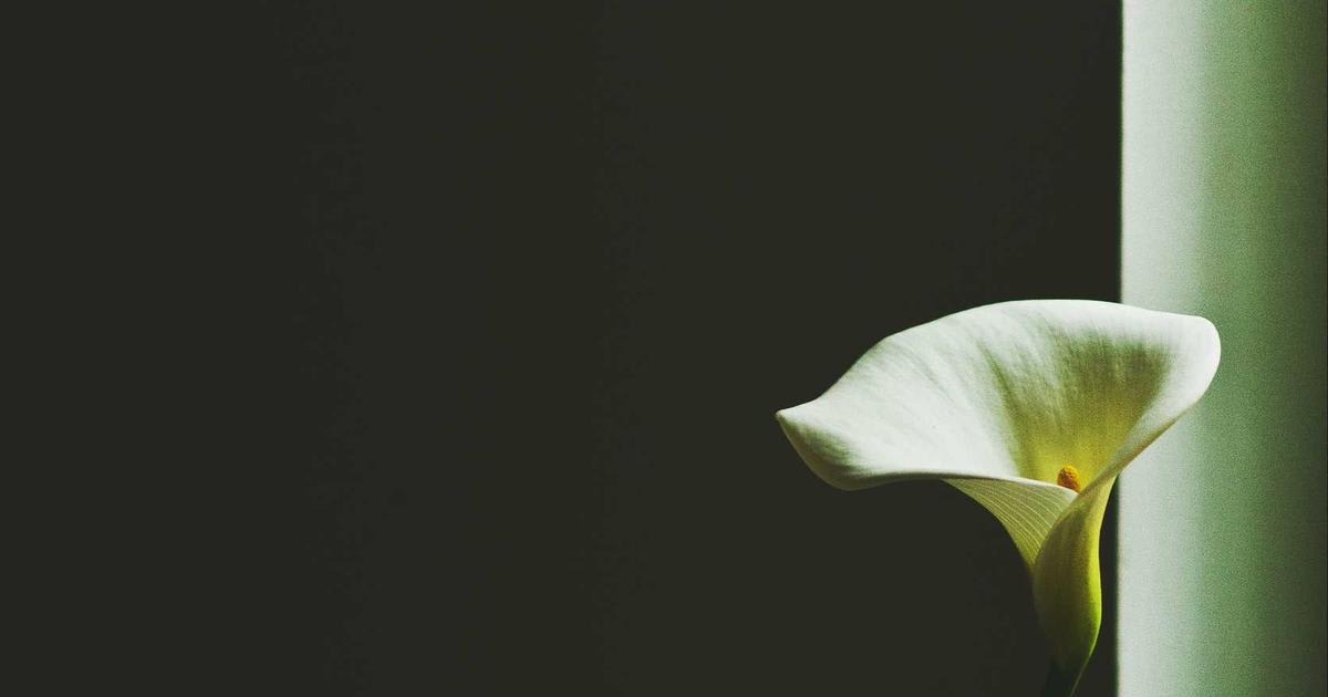 CUDA: How Nvidia's Software Creates an Unbreachable Moat
