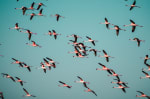 Is It Time to Migrate to Native Node.js Test Runner? The Complete 2025 Migration Guide