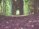 Unpacking the Vulnerabilities: Why GitHub Actions is Becoming the Weakest Link in Your CI/CD Pipeline