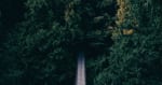 LLMOps for Fraud & AML: Architecting a Compliance-Grade Serving Stack