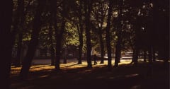 NVIDIA & ServiceNow: Powering Autonomous AI Agents