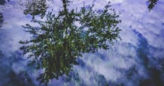 The Mirage of Emergent Capabilities in LLMs: A Case Study in Data Contamination