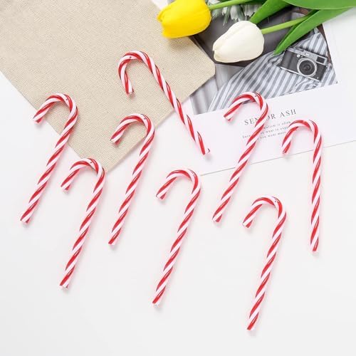 Vue 4 de Dahi Lot De Sucre