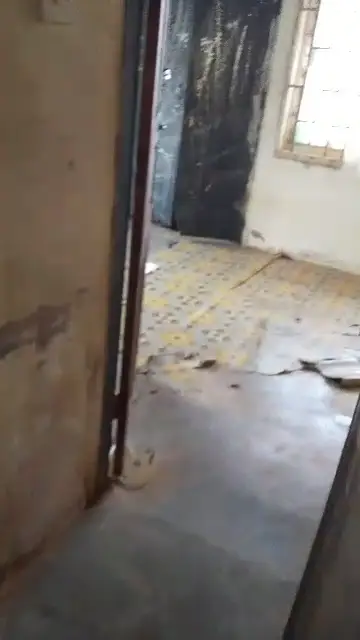 Self-contain / Mini-flat in benin city