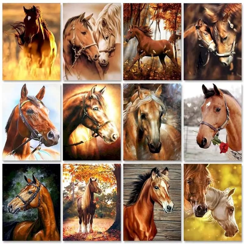 Peinture au numéro — Cheval 8