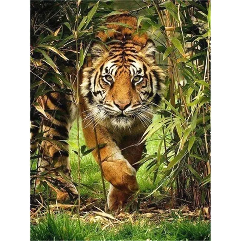Peinture au Numéro — Tigre marchant dans les bambous