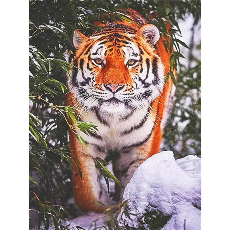 Peinture au Numéro — Tigre de Sibérie sous la neige
