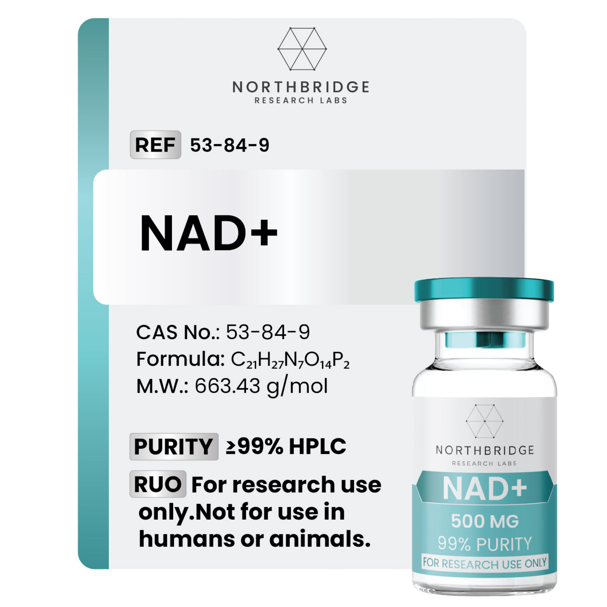 NAD+ (Nicotinamide Adenine Dinucleotide)