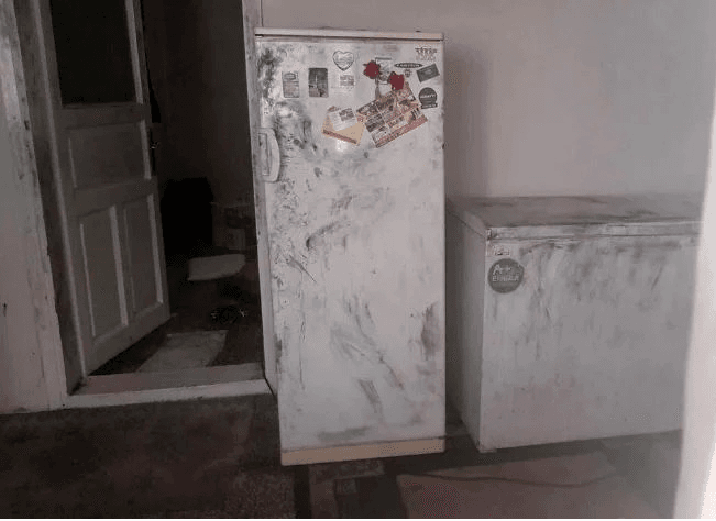 3 аял 1 эркек. Түркияда 4 адамдын кесилген денелери муздаткычтан табылды