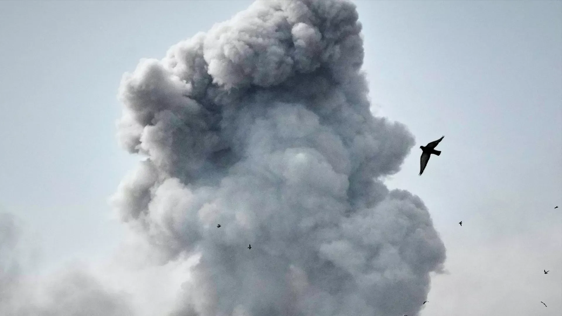 Жакынкы Чыгыштагы конфликт дүйнөлүк кризиске алып келиши мүмкүн