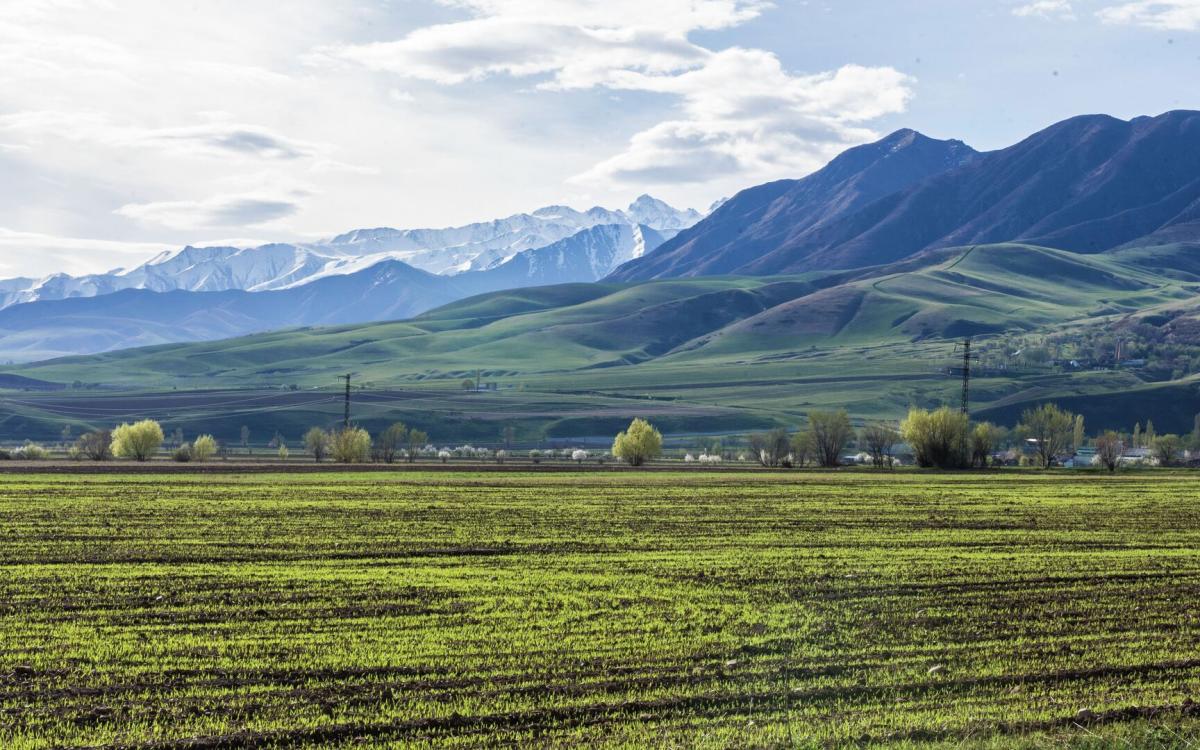 Жайыттарды жакшыртууга багытталган чакан долбоорлорго гранттар каралууда