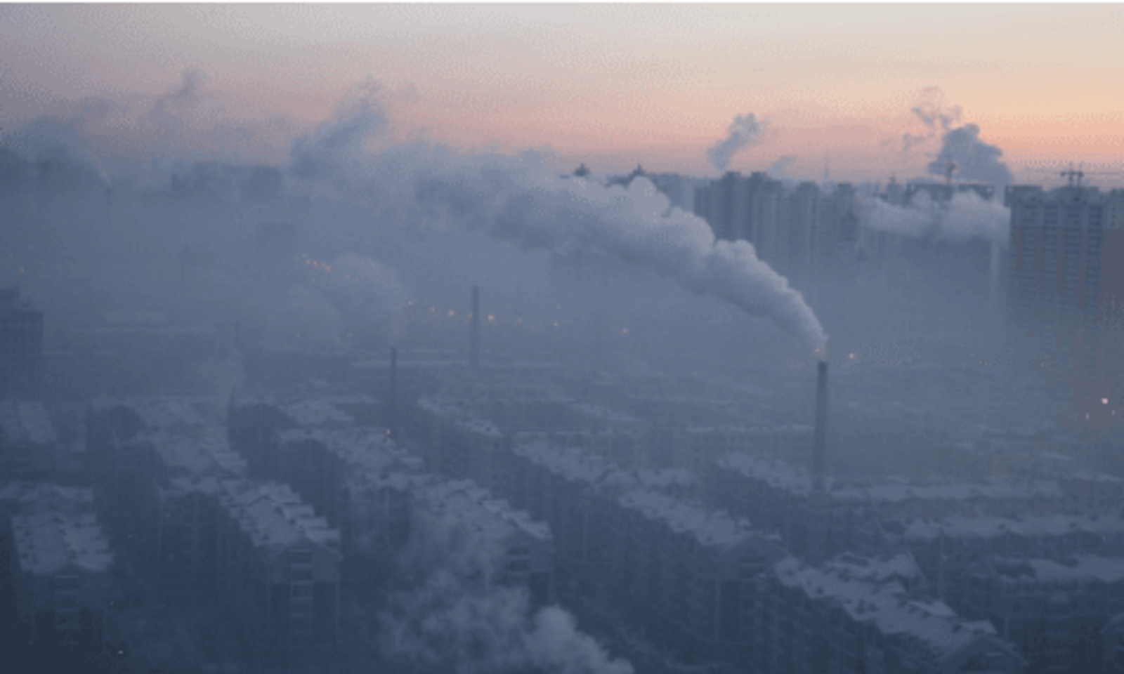 Бишкекте ыш менен күрөшүү үчүн экополиция түзүзүшү мүмкүн