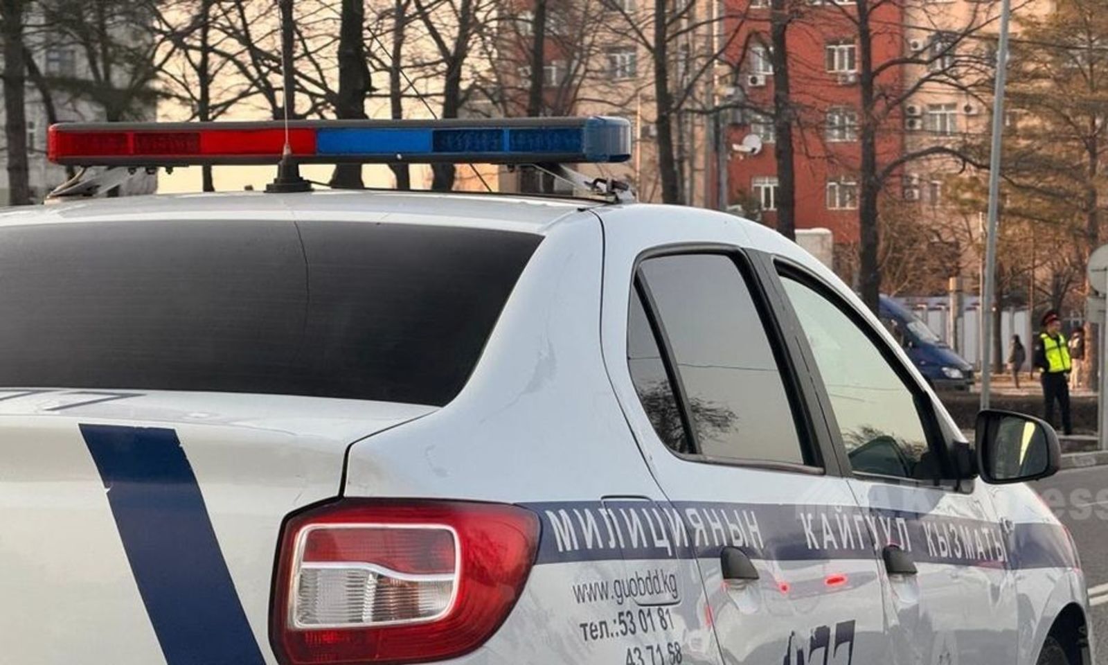 Бишкекте жасалма номур тагып жүргөн айдоочу кармалды