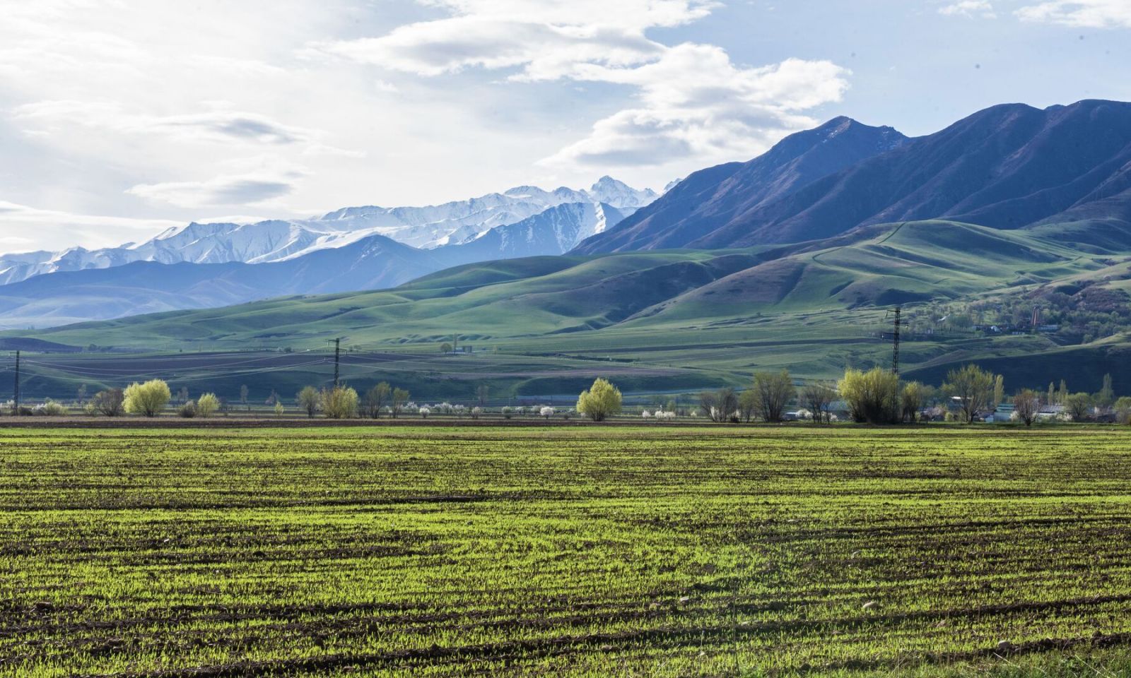 Жайыттарды жакшыртууга багытталган чакан долбоорлорго гранттар каралууда