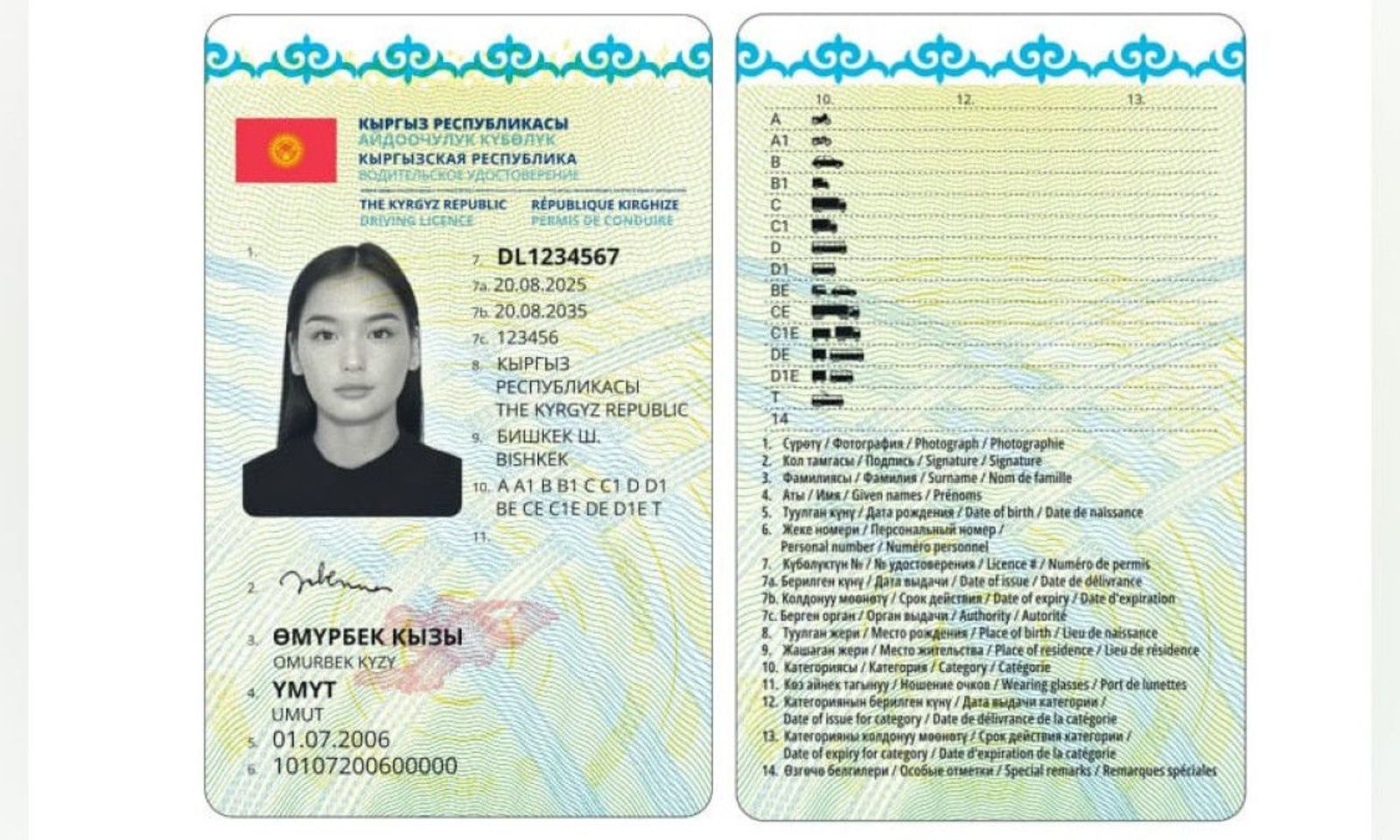 Жаңы айдоочулук күбөлүктөр чет өлкөлөрдө таанылып жатканы айтылды