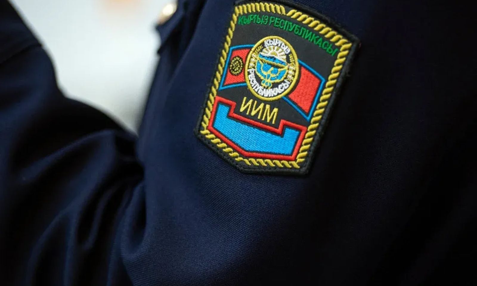 Бишкекте майда бейбаштык фактысы боюнча жаран кармалды