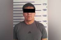 Жубайына зомбулук көрсөтүүгө шектелген жаран кармалды