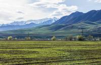 Жайыттарды жакшыртууга багытталган чакан долбоорлорго гранттар каралууда