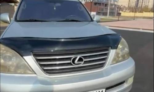 Сүйлөшкөн кызынын атын унаасынын номуруна жазып алган жигитке айып салынды