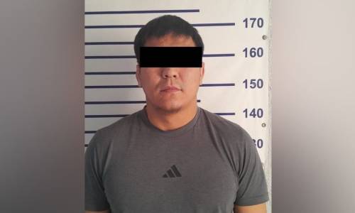 Жубайына зомбулук көрсөтүүгө шектелген жаран кармалды