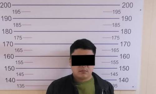 Бишкекте автоунааны өрттөөгө шектелген жаран кармалды