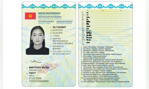 Жаңы айдоочулук күбөлүктөр чет өлкөлөрдө таанылып жатканы айтылды