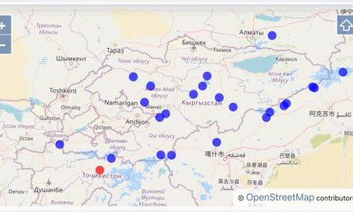 Чоң-Алайда жер титирөө сезилди