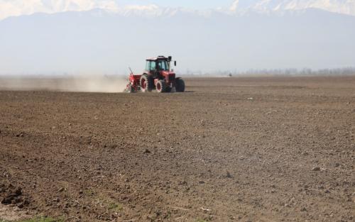 Кыргызстанда жазгы талаа иштери: айдоо 15,7% аткарылды