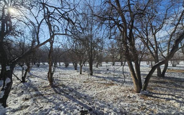 НАРЫНДА «КЕРМЕ-ТОО» МЕЙМАНКАНАСЫ ЖАНА 2,35 ГЕКТАР ЖЕР АЯНТЫ МУНИЦИПАЛДЫК МЕНЧИККЕ КАЙТАРЫЛДЫ