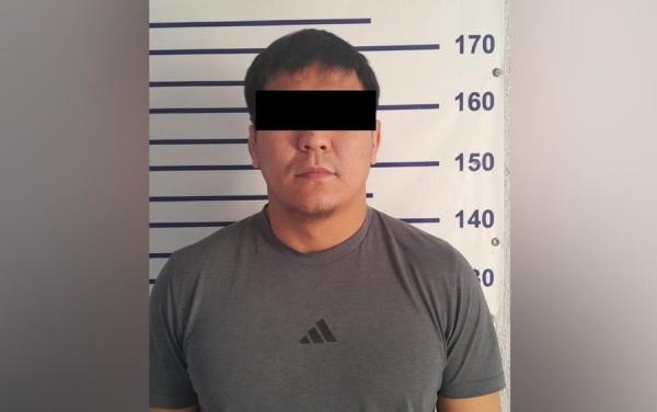 Жубайына зомбулук көрсөтүүгө шектелген жаран кармалды